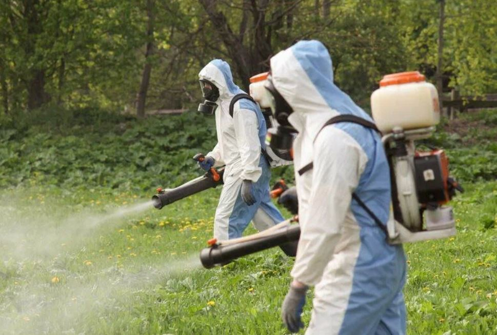 ФОТО Уничтожение клопов в Крюково