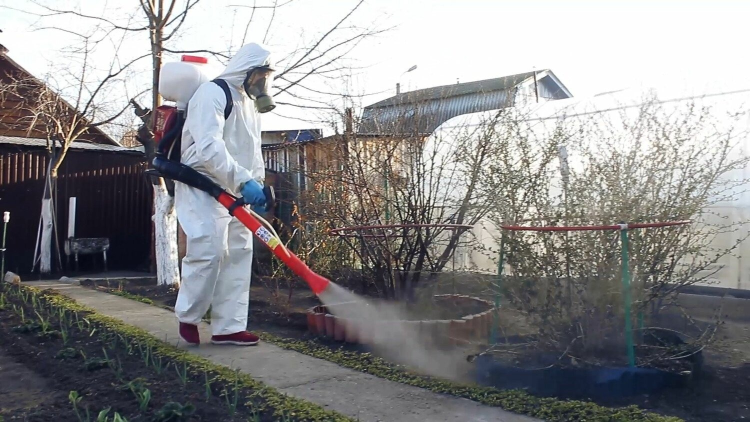 ФОТО Уничтожение муравьёв в Крюково