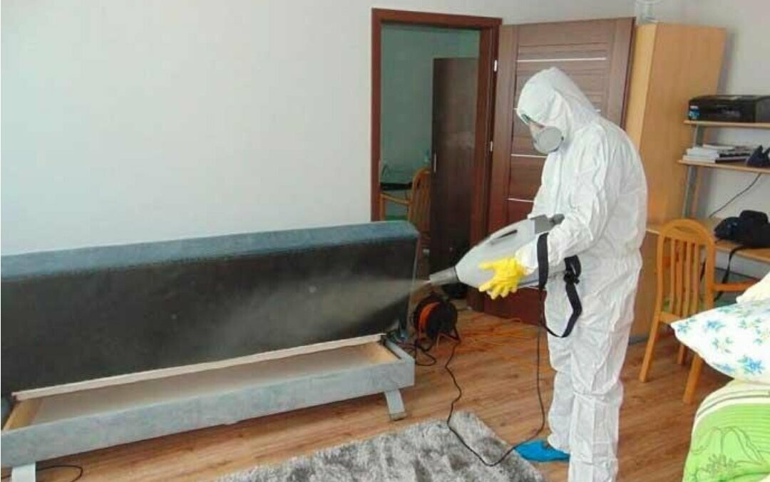 ФОТО Уничтожение блох в Крюково