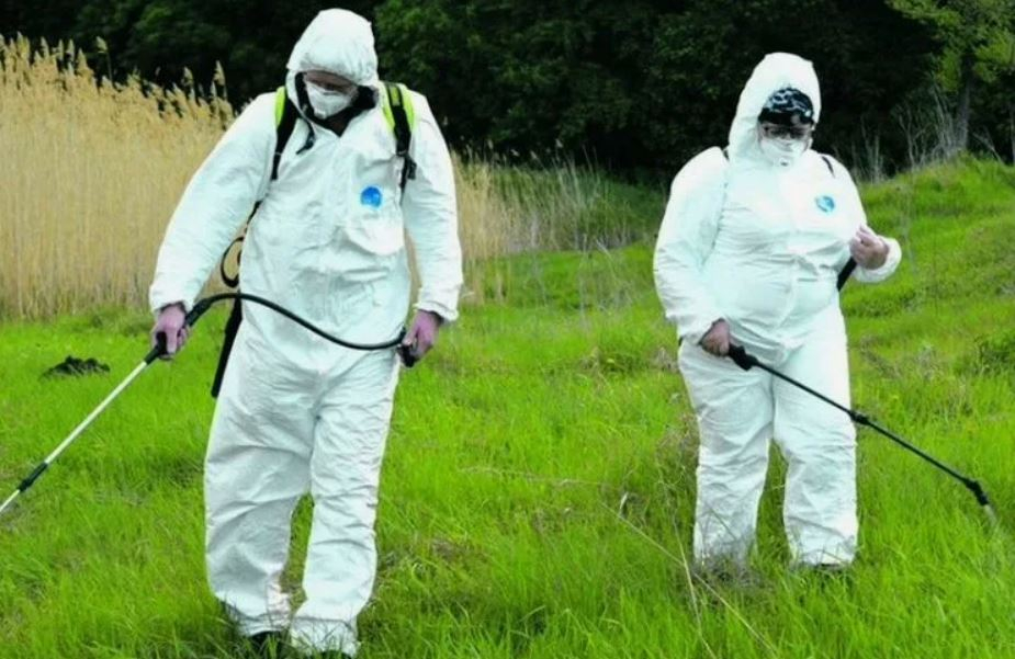 ФОТО Обработка от клещей в Крюково