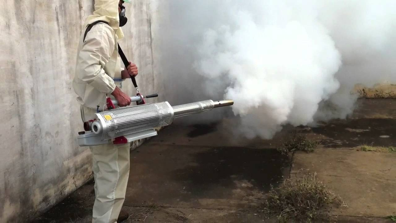 ФОТО Уничтожение мух в Крюково