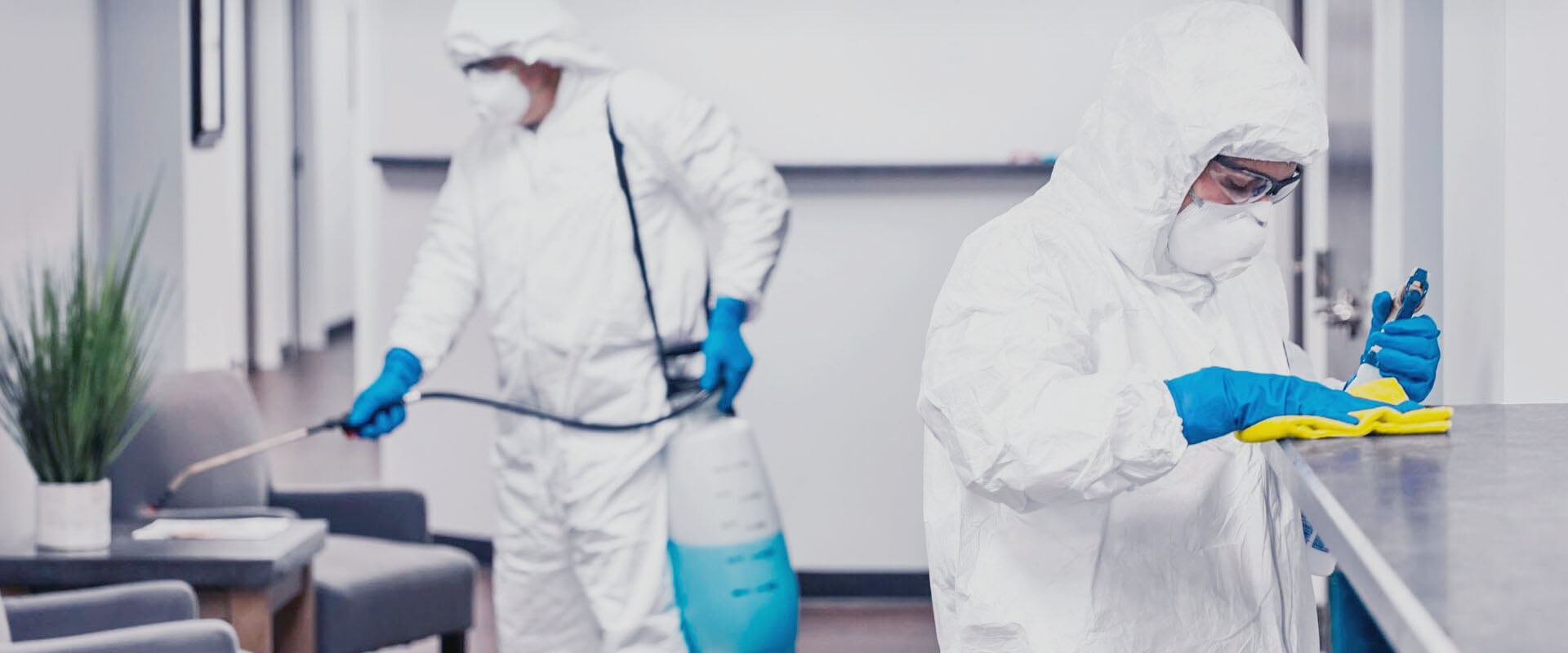 ФОТО В чем разница между дезинфекцией и дезинсекцией в Крюково? | подробно