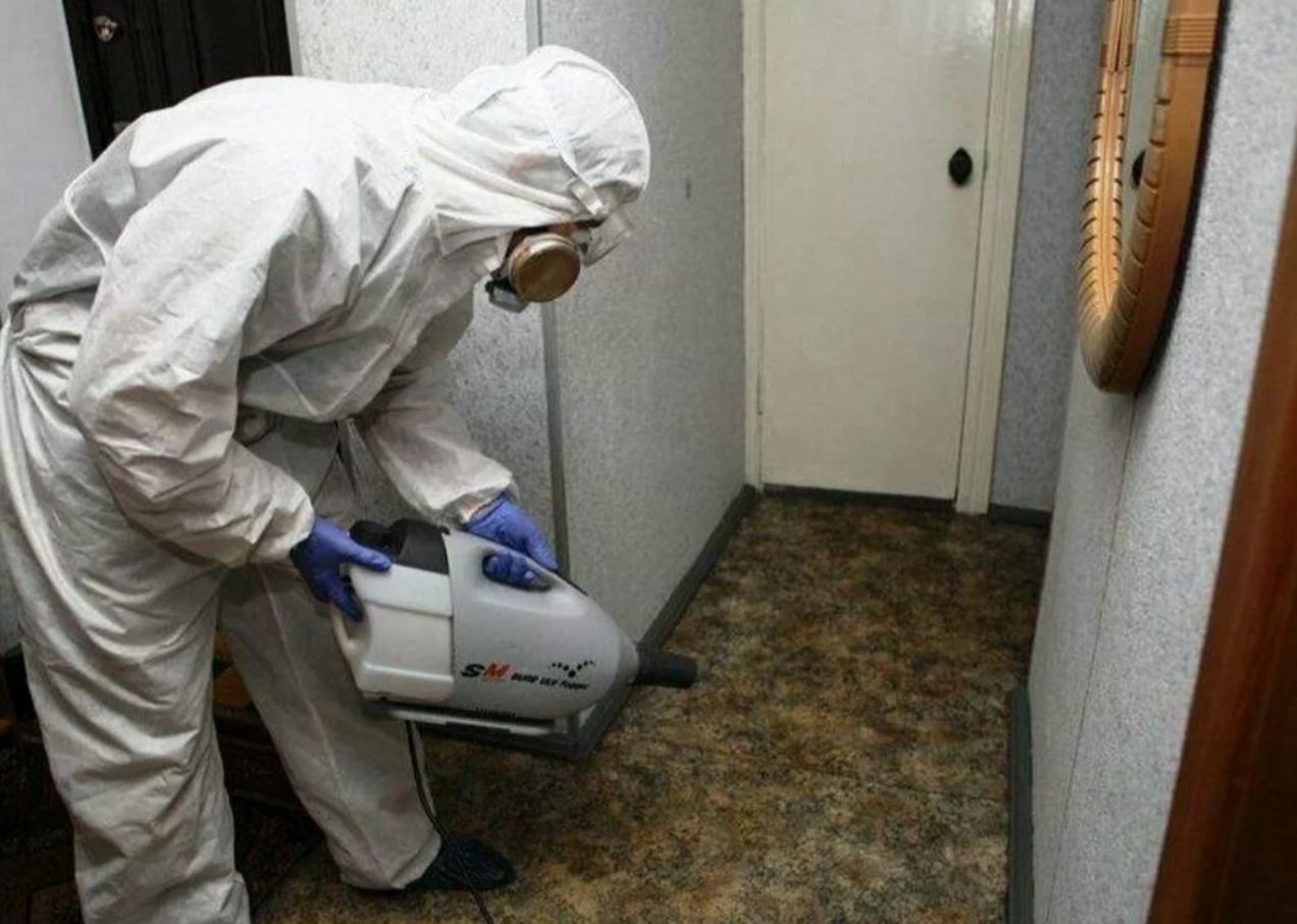 ФОТО Какие методы обработки для дезинсекции существуют в Крюково? | подробно