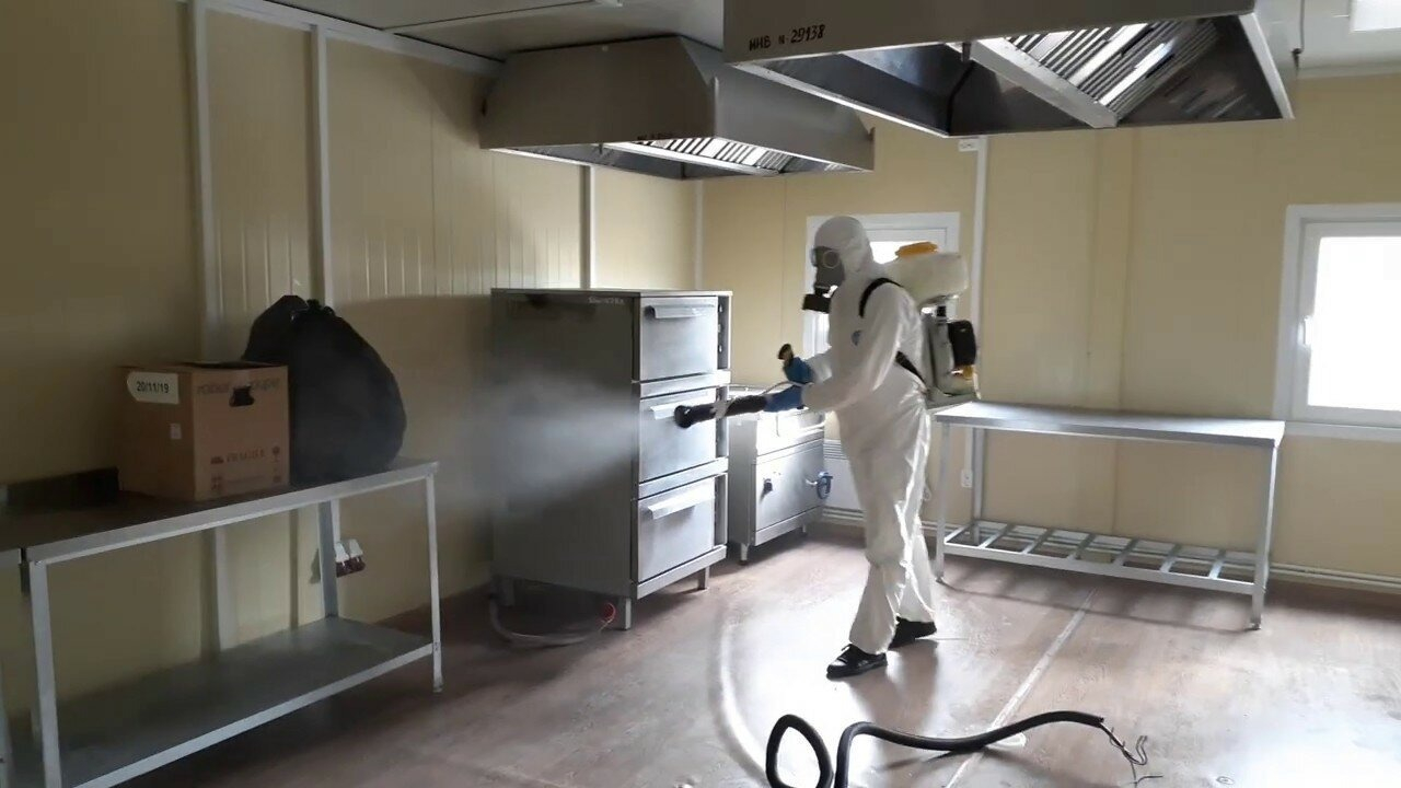 ФОТО Можно ли провести дезинсекцию самостоятельно и какие существуют риски в Крюково? | подробно