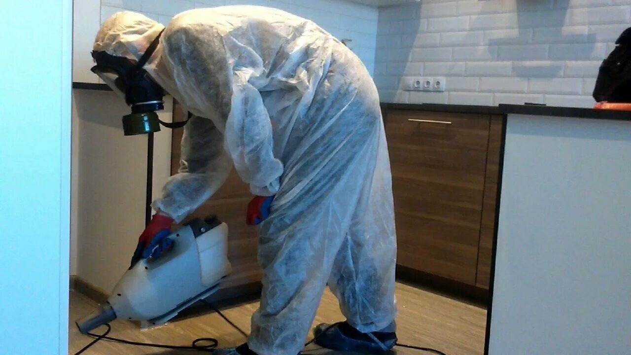 ФОТО Как подготовить домашних животных к обработке от насекомых в Крюково? | подробно