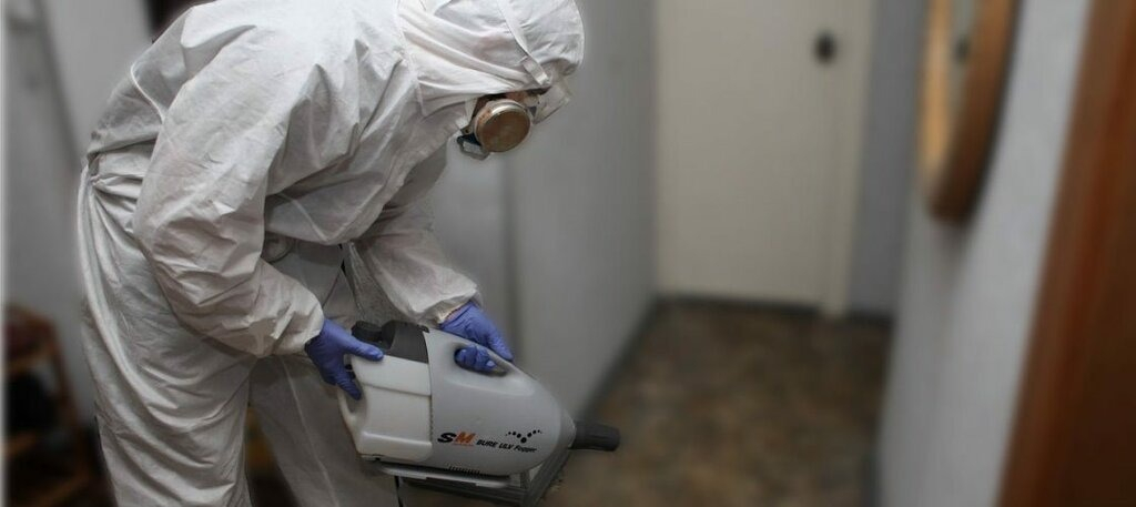 ФОТО Остаются ли следы после обработки квартиры от насекомых в Крюково? | подробно