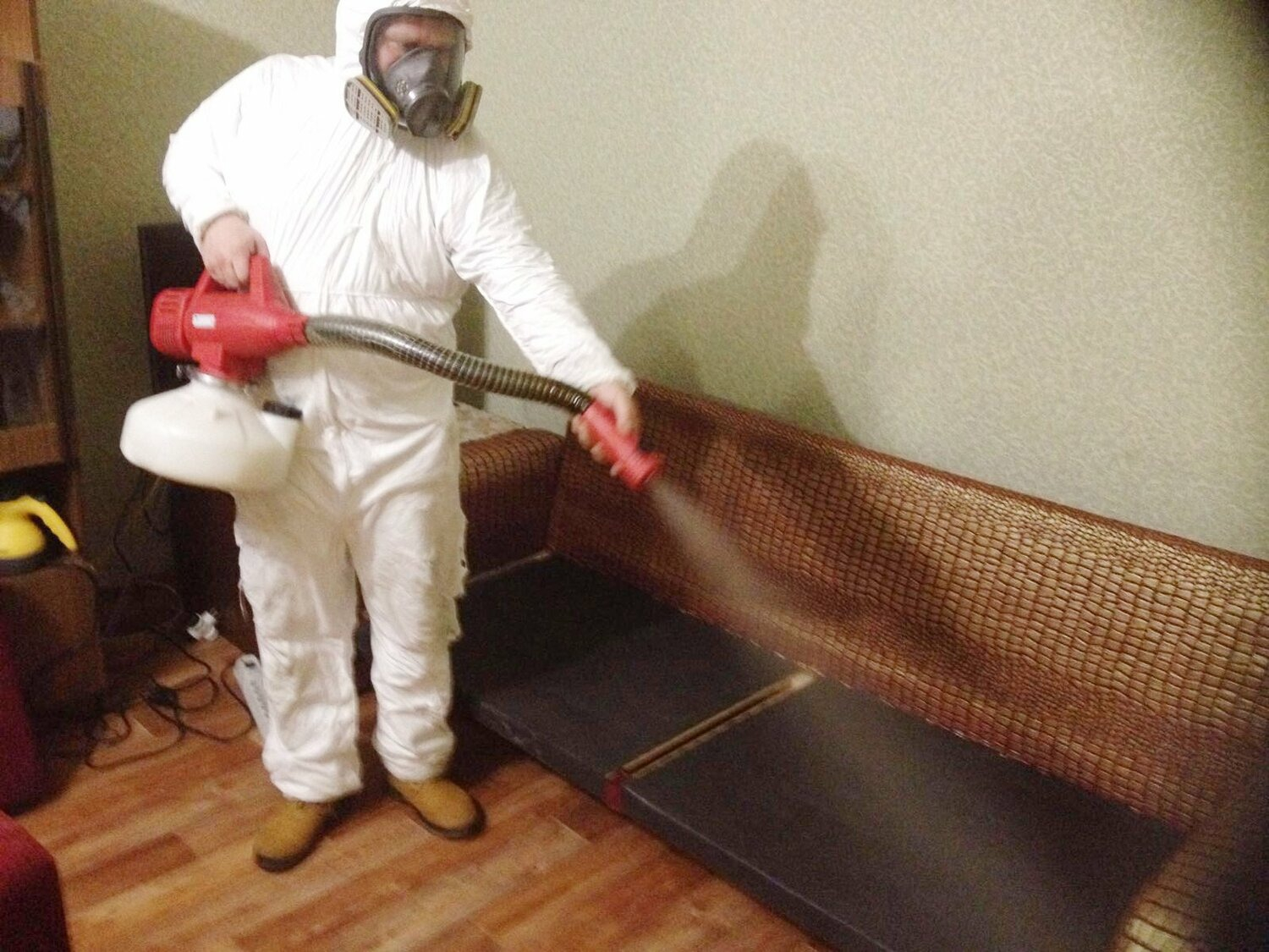 ФОТО Когда можно вернуться в помещение после дезинсекции в Крюково? | подробно