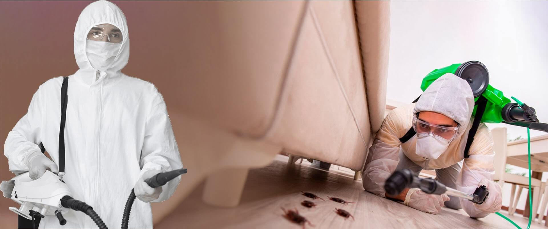 процесс уничтожения насекомых и грызунов 348