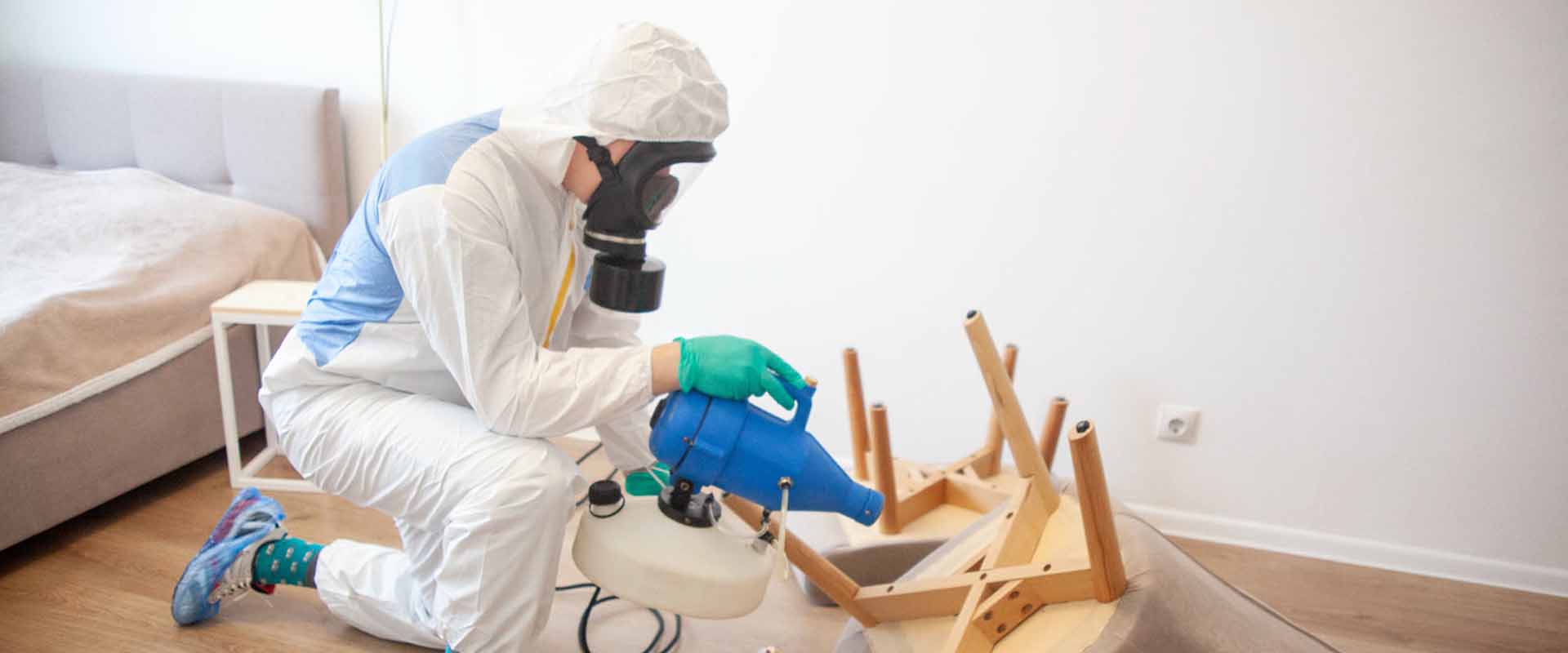 фото: Уничтожение постельных клопов с 1-го раза с гарантией за 30-60 мин. в Крюково без предоплаты